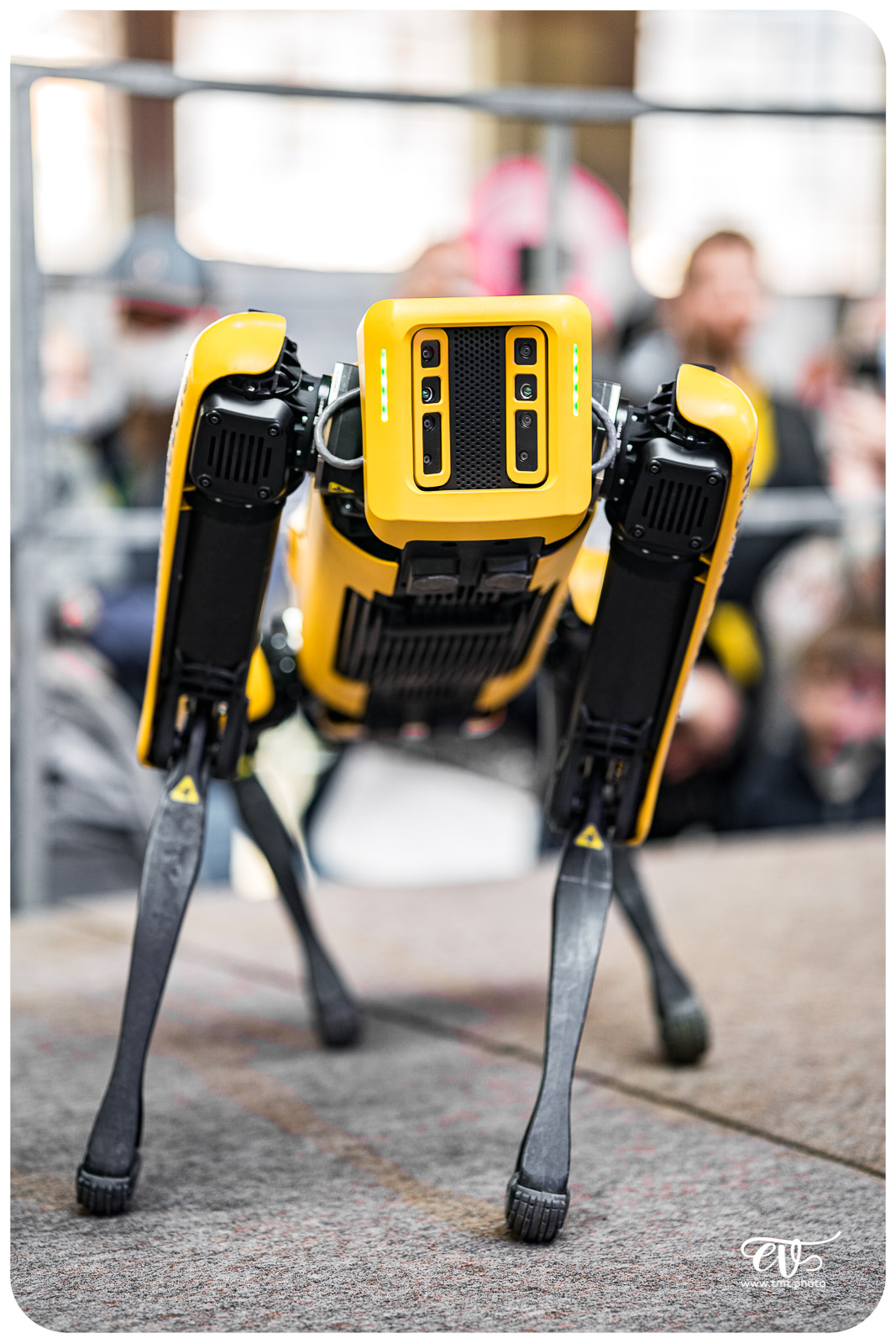 SPOT (BOSTON DYNAMICS)